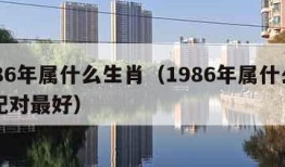 1986年属什么生肖（1986年属什么生肖配对最好）