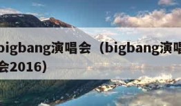 bigbang演唱会（bigbang演唱会2016）