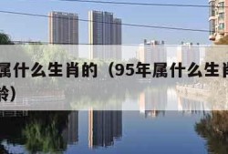 95年属什么生肖的（95年属什么生肖的多大年龄）