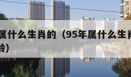 95年属什么生肖的（95年属什么生肖的多大年龄）