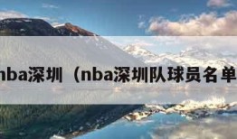 nba深圳（nba深圳队球员名单）