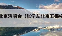 张学友北京演唱会（张学友北京五棵松演唱会）