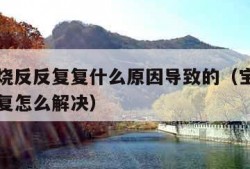 宝宝发烧反反复复什么原因导致的（宝宝发烧反反复复怎么解决）