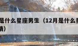 12月是什么星座男生（12月是什么星座男生爱情）