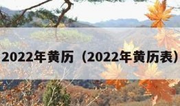 2022年黄历（2022年黄历表）