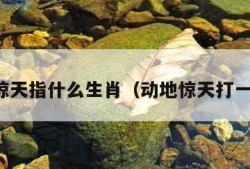 动地惊天指什么生肖（动地惊天打一数字）