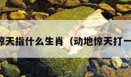 动地惊天指什么生肖（动地惊天打一数字）