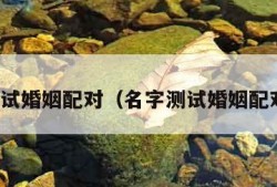 名字测试婚姻配对（名字测试婚姻配对准吗）