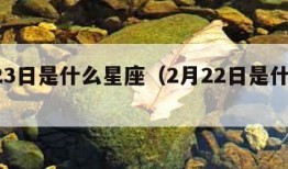 2月23日是什么星座（2月22日是什么星座）