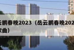 岳云鹏春晚2023（岳云鹏春晚2023央视歌曲）